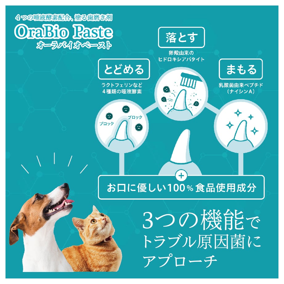 オーラバイオペーストPRO 無香料 (4種の唾液酵素&乳酸菌培養エキス配合)歯磨剤