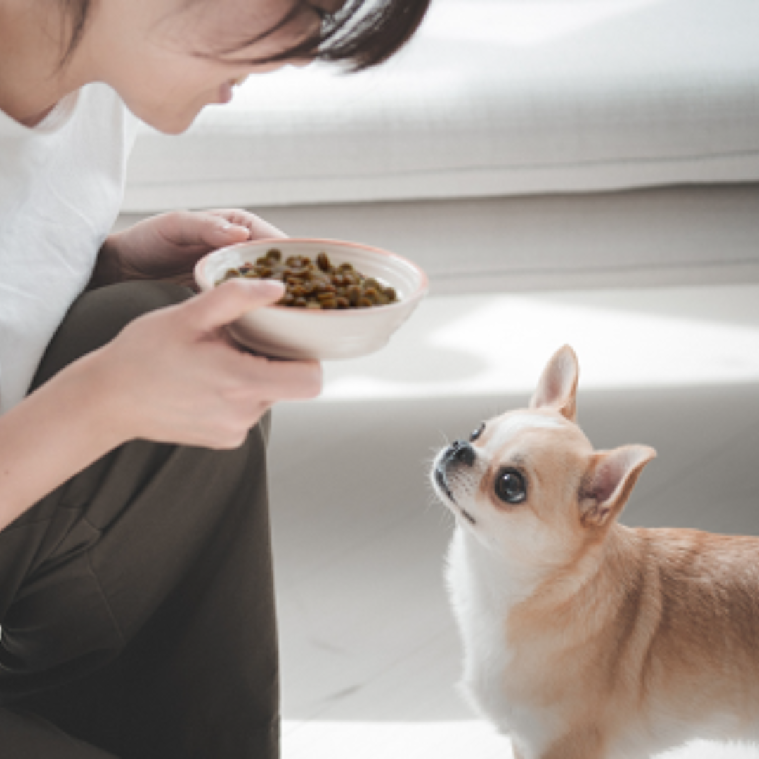 yum yum yum! マグロ やわらかドライタイプ