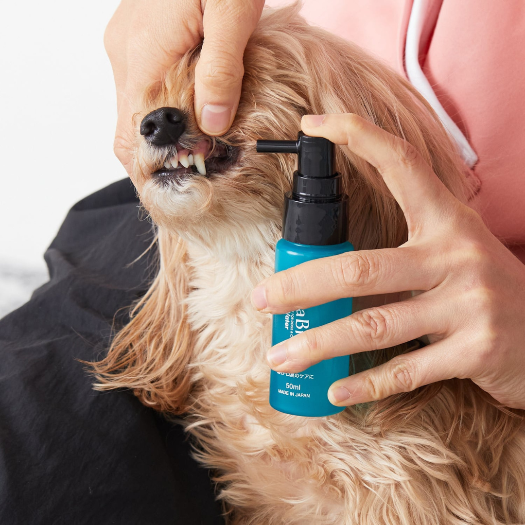 OraBio リペアウォーター50ml 犬用 歯磨き マウススプレー