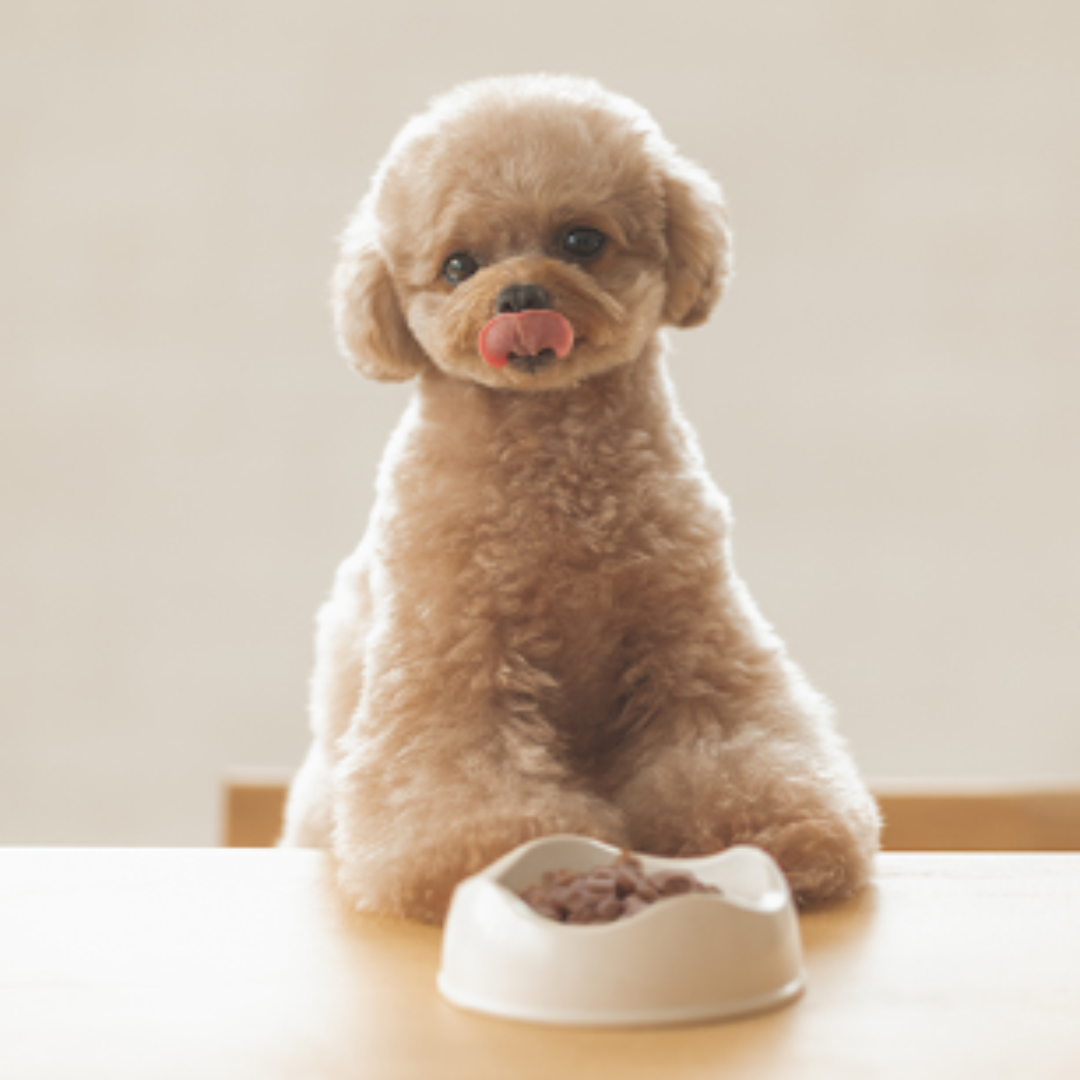 yum yum yum! チキン ドライタイプ