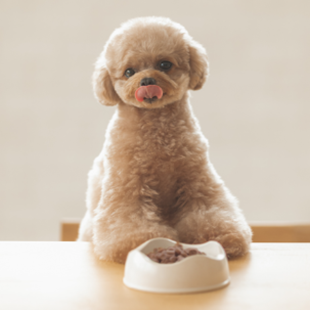 yum yum yum! マグロ ドライタイプ