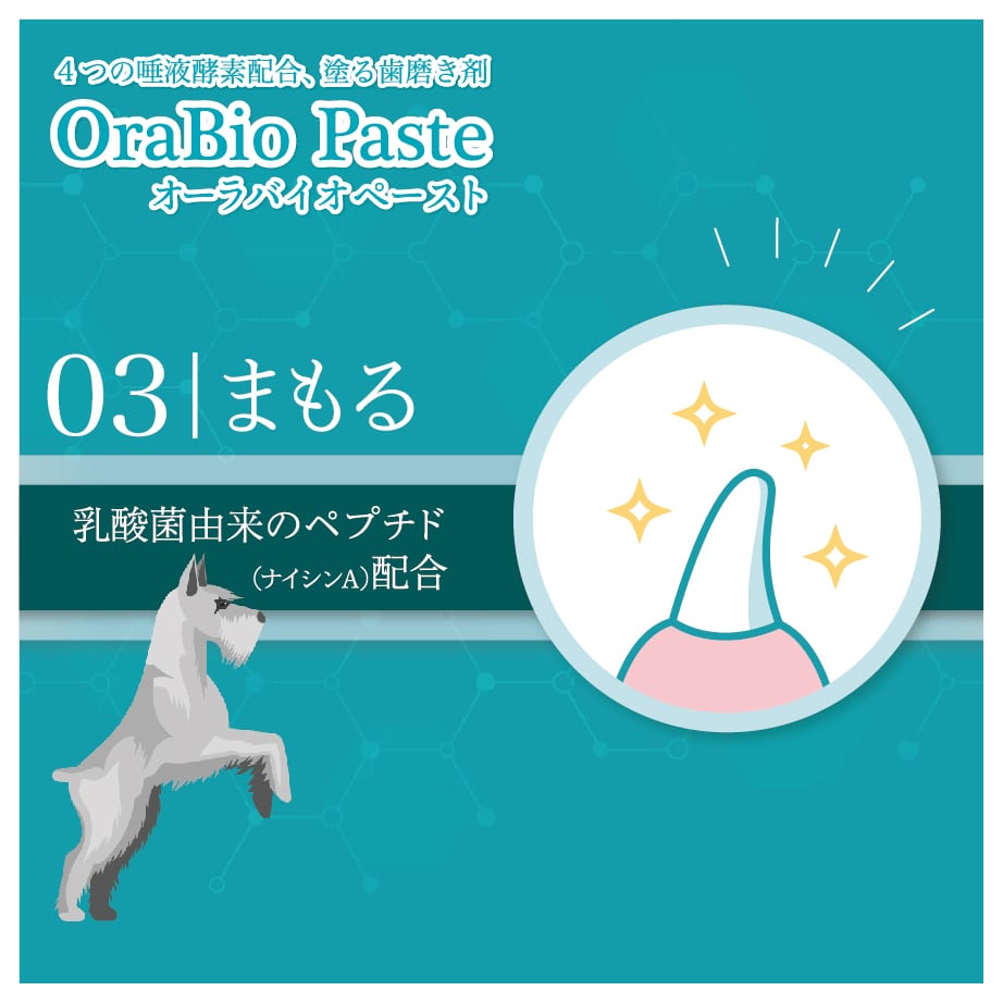 オーラバイオペーストPRO 無香料 (4種の唾液酵素&乳酸菌培養エキス配合)歯磨剤