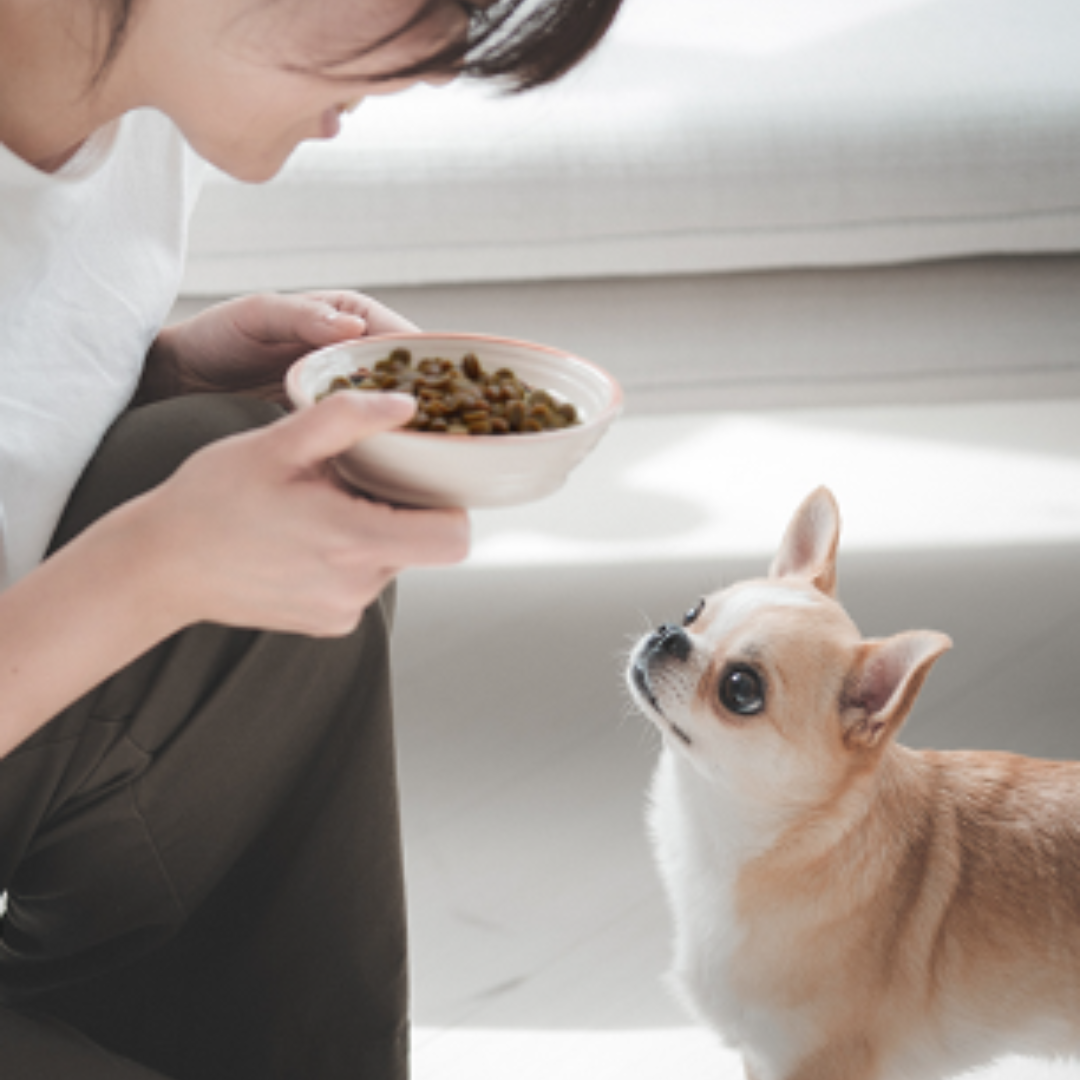 yum yum yum! 馬肉 やわらかドライタイプ