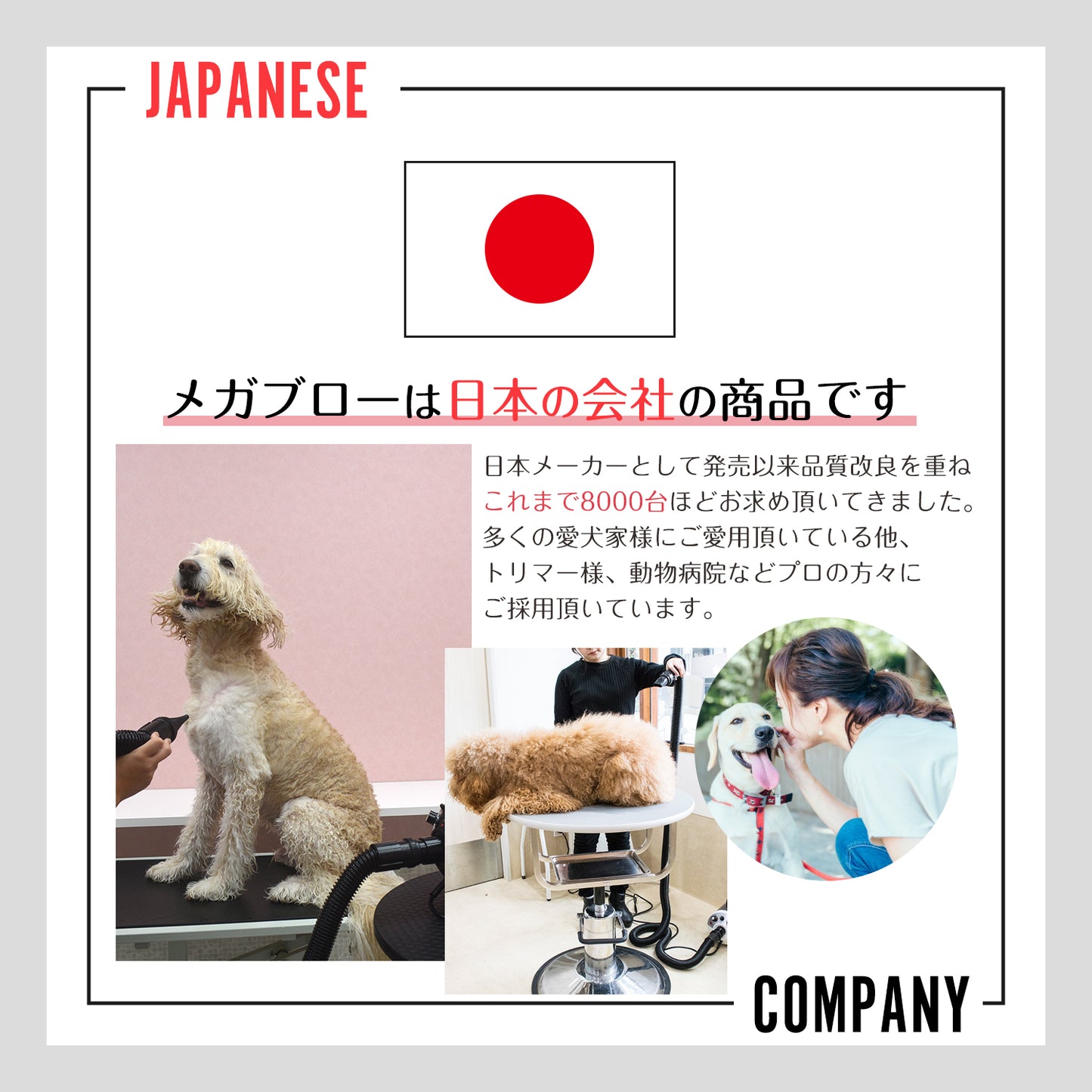 ペット用ドライヤー メガブロー (風量・温度連続調節)