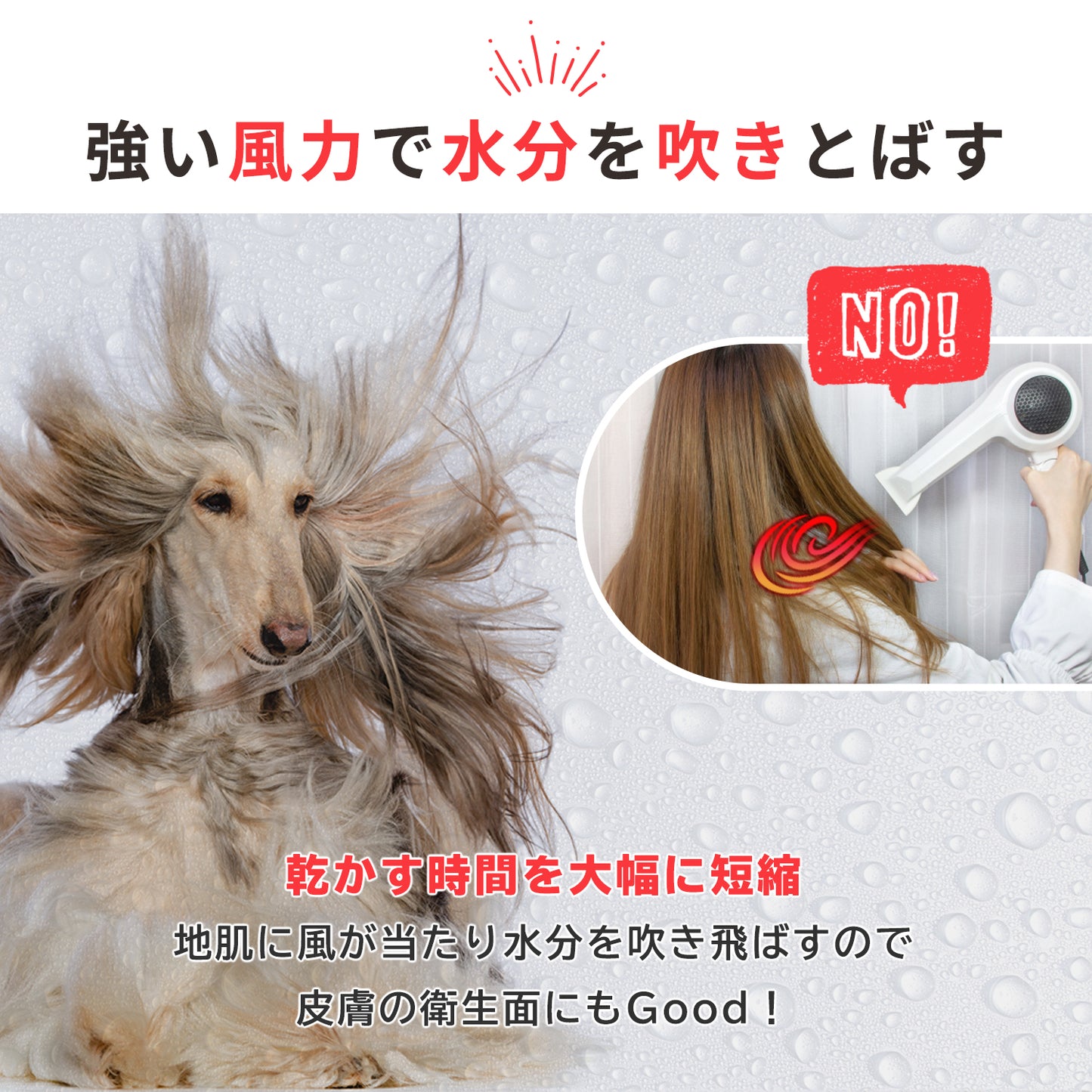 ペット用ドライヤー メガブロー (風量・温度連続調節)