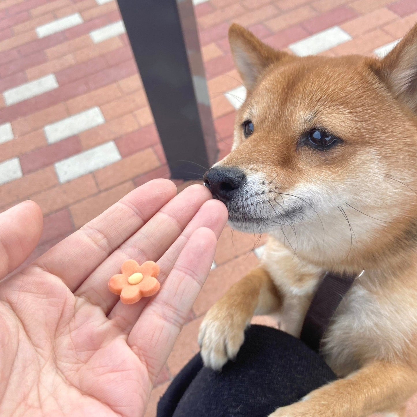 米粉とさつまいもの花びらクッキー