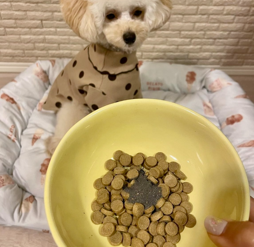 CiNAG シナジー 高機能栄養補助食 60g