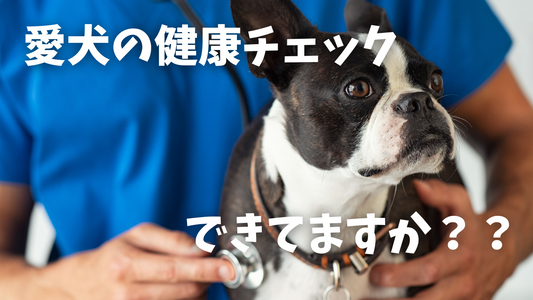 愛犬の健康チェック、できていますか？〜毎日のちょっとした気づきが、大切な命を守る〜