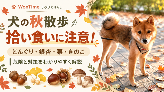 犬の秋散歩は拾い食いに注意｜どんぐり・銀杏・栗・きのこの危険と対策