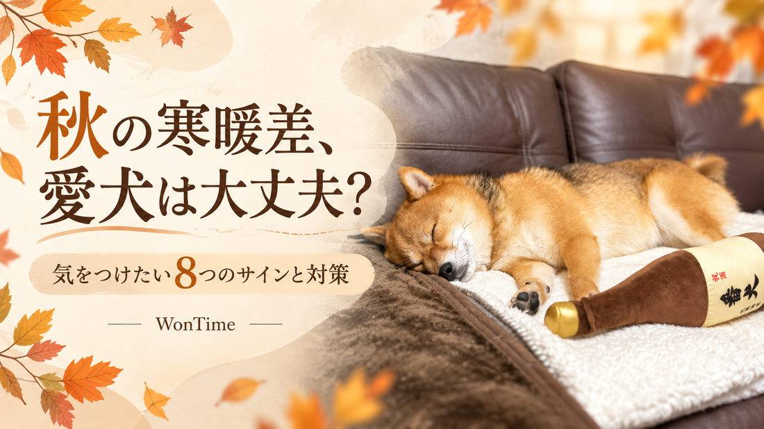 犬は秋の寒暖差で体調を崩す？注意したい8つのサインと対策