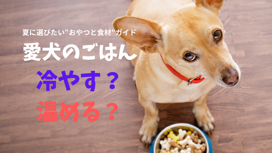 愛犬のカラダ、冷やす？温める？ 夏に選びたい“おやつと食材”ガイド