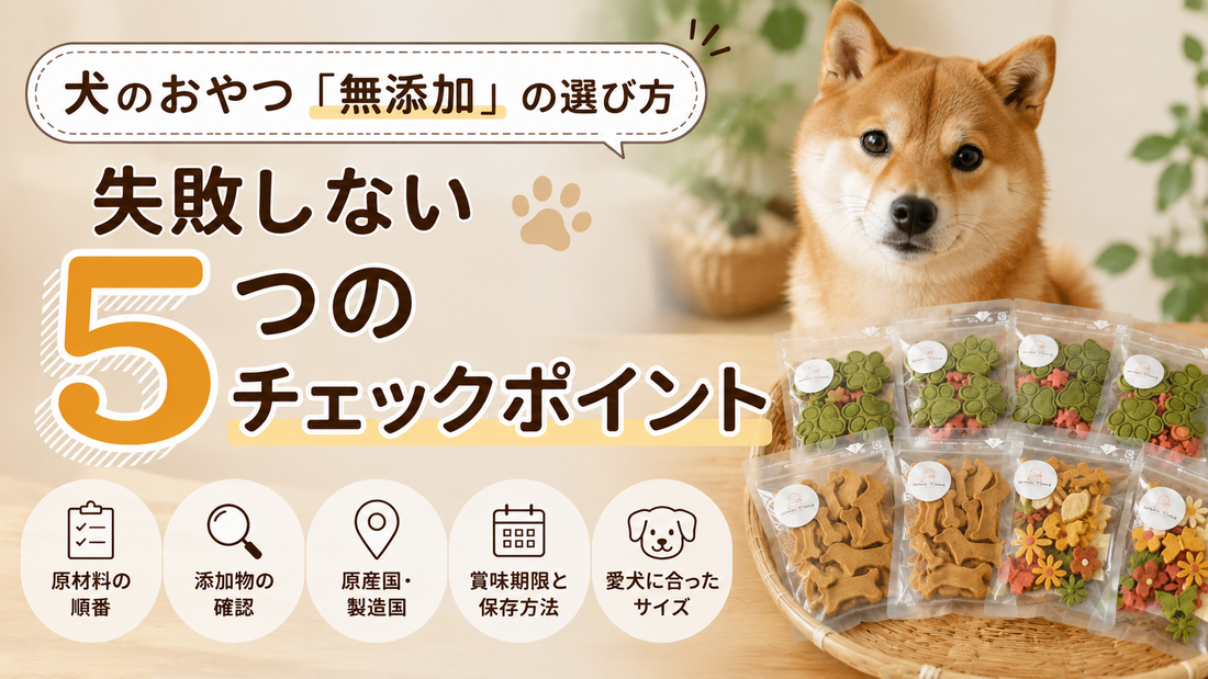 犬のおやつ「無添加」の選び方｜失敗しない5つのチェックポイント　　