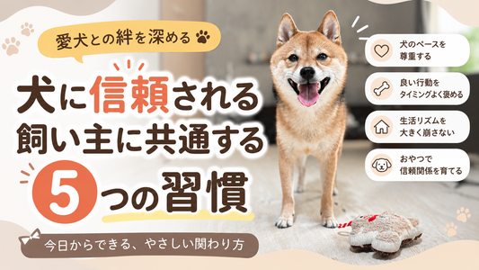 犬に信頼される飼い主に共通する5つの習慣｜愛犬との絆を深める接し方