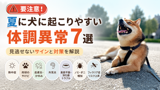【獣医師相談の目安も解説】夏に犬に起こりやすい体調異常7選｜症状・予防・受診サイン