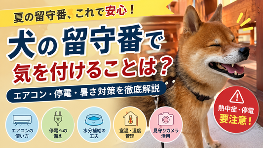 犬の夏の留守番で気を付けることは？エアコン・停電・暑さ対策を徹底解説