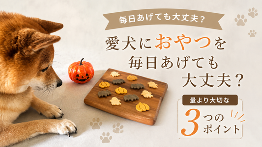 愛犬におやつを毎日あげても大丈夫？量より大切な3つのポイント
