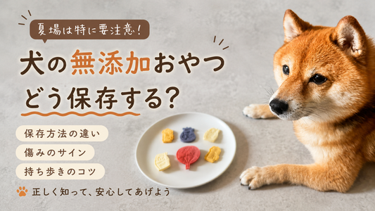犬の無添加おやつは夏も常温保存できる？正しい保存方法と傷みのサイン