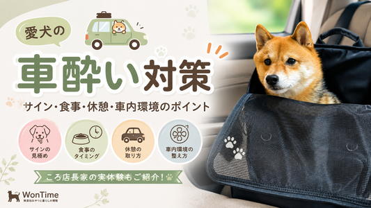 犬の車酔い対策｜よだれ・嘔吐などのサインと食事・休憩・車内環境のポイント