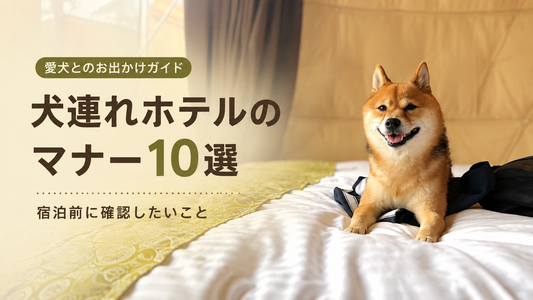 犬連れホテルのマナー10選｜宿泊前に確認したいことも解説