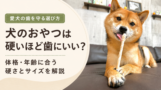 犬のおやつは硬いほど歯にいい？安全な硬さ・サイズの選び方【体格・年齢別】