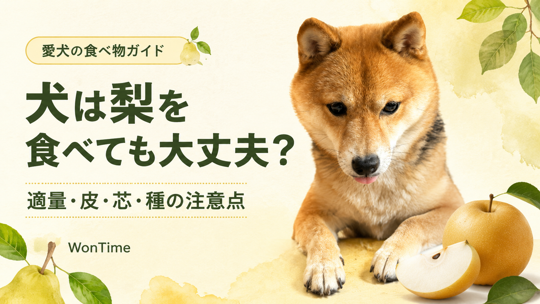 犬は梨を食べても大丈夫？適量・皮・芯・種の注意点を解説