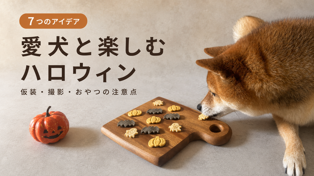 犬とハロウィンを安全に楽しむ7つの方法｜仮装・撮影・おやつの注意点