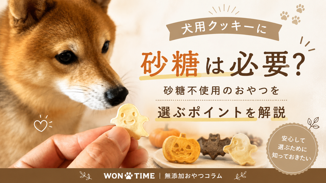 犬用クッキーに砂糖は必要？砂糖不使用のおやつを選ぶポイントと注意点
