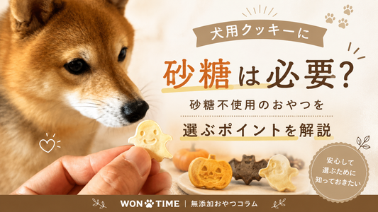 犬用クッキーに砂糖は必要？砂糖不使用のおやつを選ぶポイントと注意点