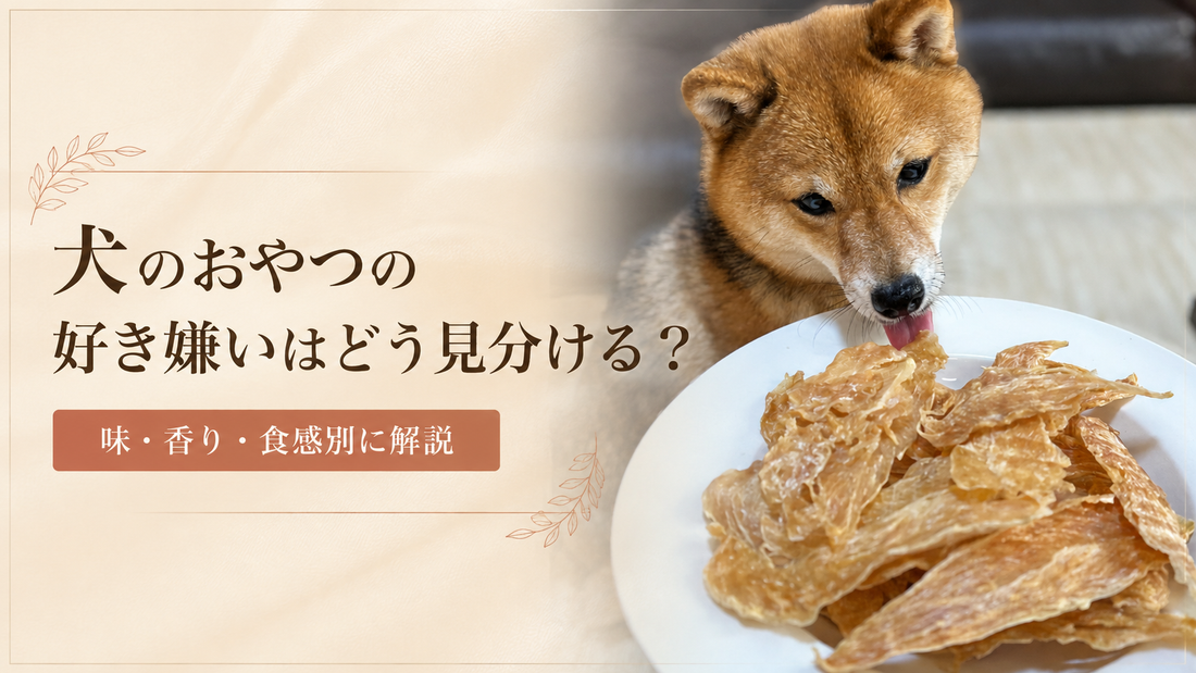 犬のおやつの好き嫌いはどう見分ける？味・香り・食感別に解説