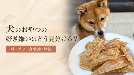 犬のおやつの好き嫌いはどう見分ける？味・香り・食感別に解説