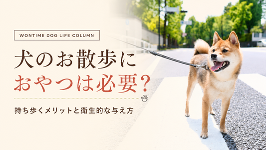 犬の散歩におやつは必要？持ち歩くメリット・衛生的な与え方と注意点