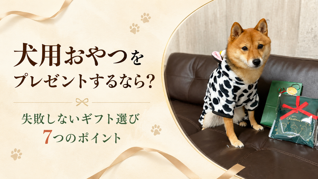 犬用おやつをプレゼントするなら？失敗しないギフト選び7つのポイント
