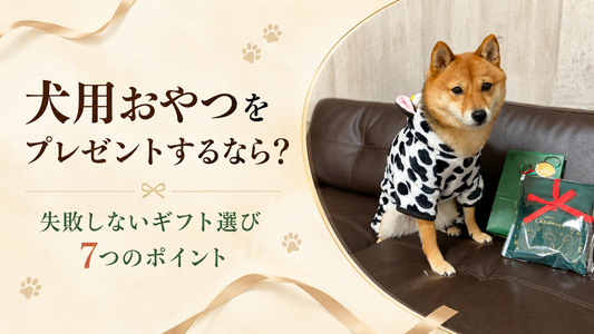 犬用おやつをプレゼントするなら？失敗しないギフト選び7つのポイント