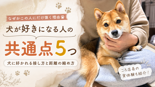 犬が好きになる人の共通点5つ｜犬に好かれる接し方と距離の縮め方