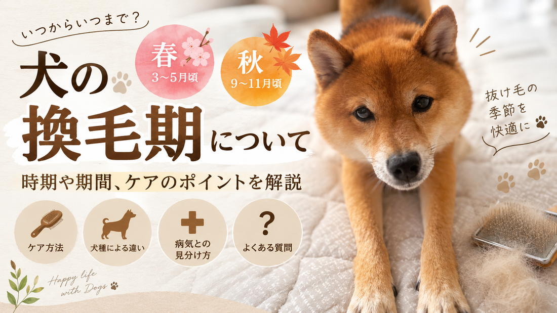 「犬の換毛期はいつ？時期・期間と抜け毛対策、ケア方法を解説」