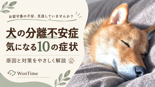 犬の分離不安症｜疑われる10の症状と原因・留守番の対策
