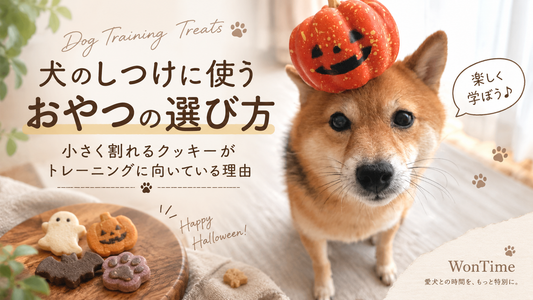 犬のしつけ用おやつの選び方｜小さく割れるクッキーがトレーニングに向いている理由