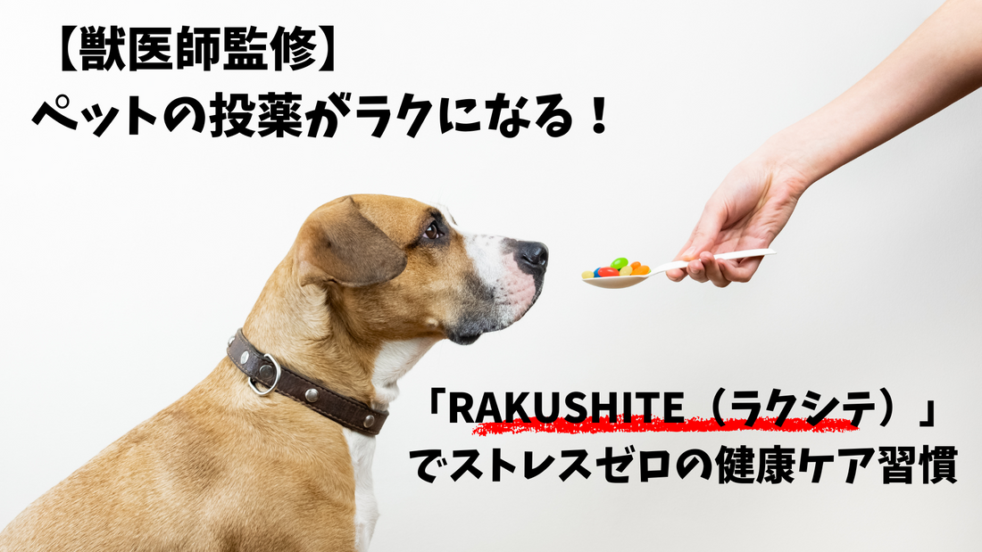 【獣医師監修】ペットの投薬がラクになる！ 「RAKUSHITE（ラクシテ）」でストレスゼロの健康ケア習慣