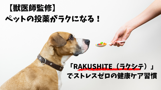 【獣医師監修】ペットの投薬がラクになる！ 「RAKUSHITE（ラクシテ）」でストレスゼロの健康ケア習慣