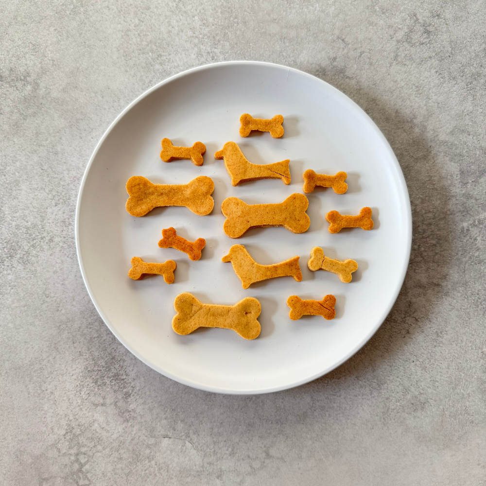 【期間限定】海のアソートクッキー入り 人気クッキー全種セット 6袋入り 送料無料