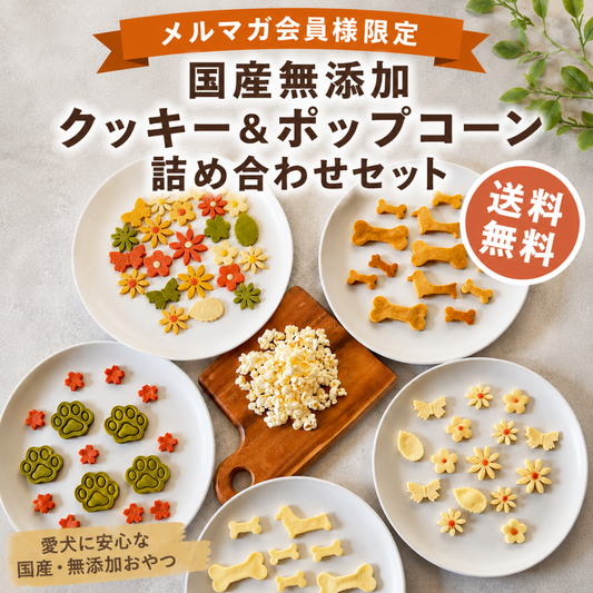 【メルマガ会員様限定】 国産無添加 クッキー＆ポップコーン詰め合わせセット 送料無料