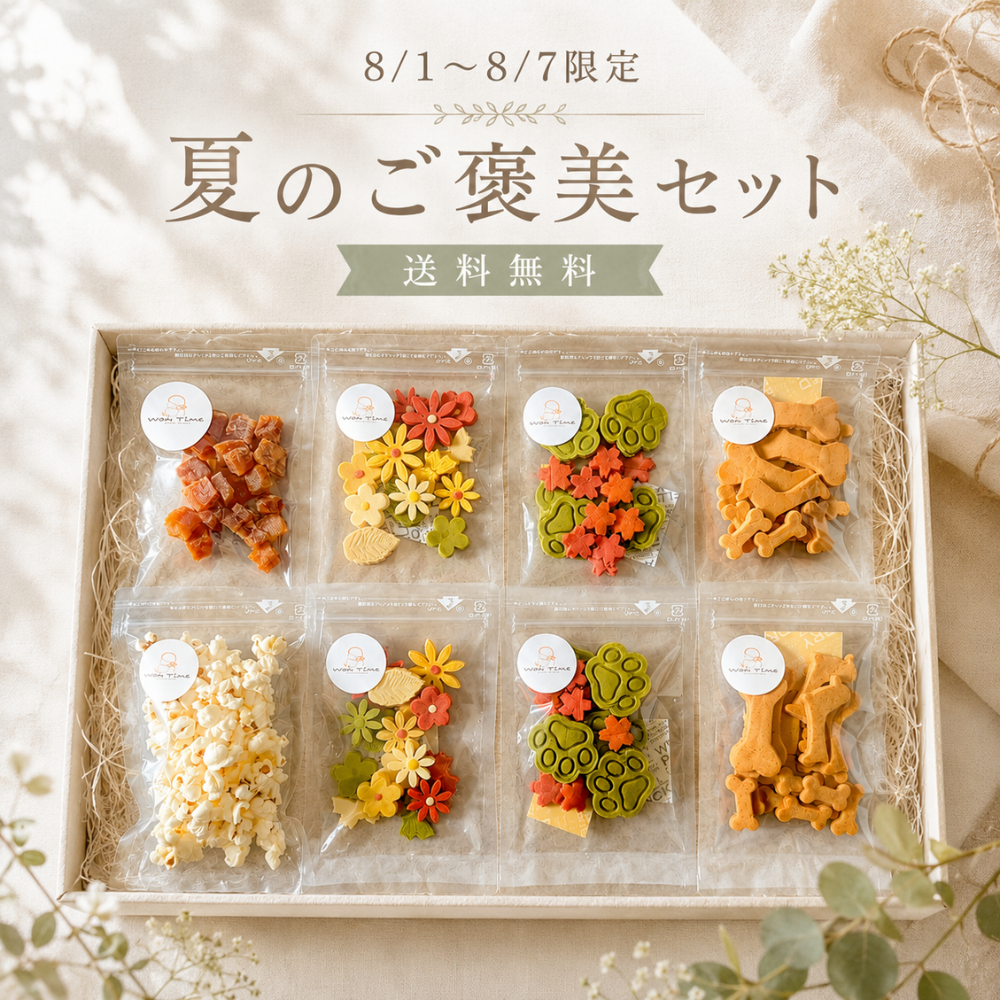 8月限定セット　第1弾　夏のご褒美セット　送料無料