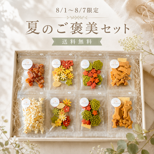 8月限定セット　第1弾　夏のご褒美セット　送料無料