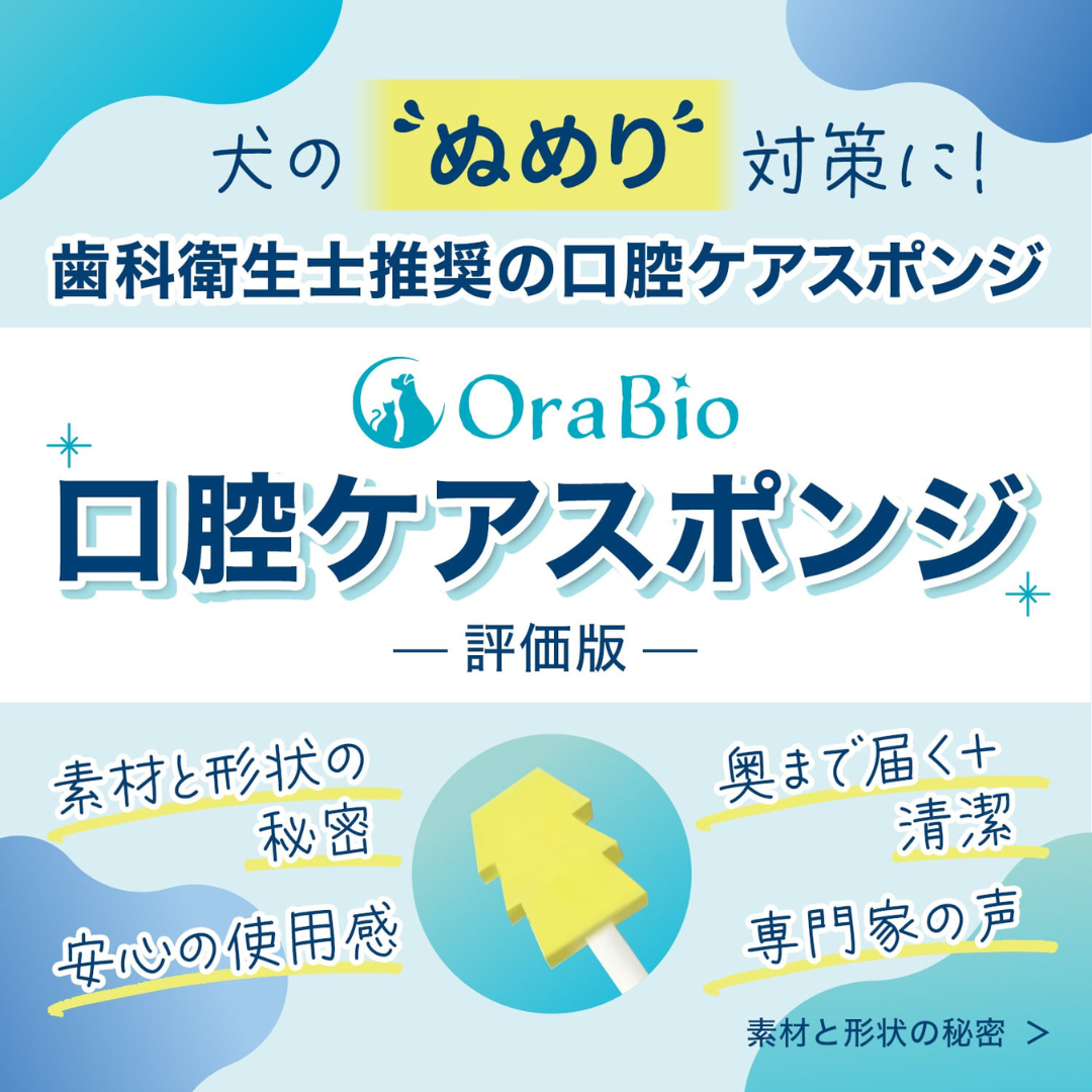 OraBio　口腔ケアスポンジ【5本入】お口のぬめり取りに　犬用　歯磨き