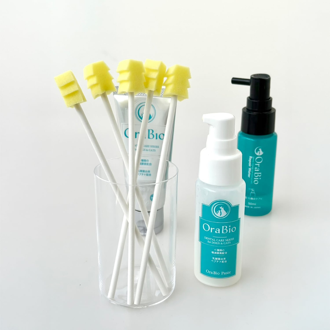 OraBio　口腔ケアスポンジ【5本入】お口のぬめり取りに　犬用　歯磨き