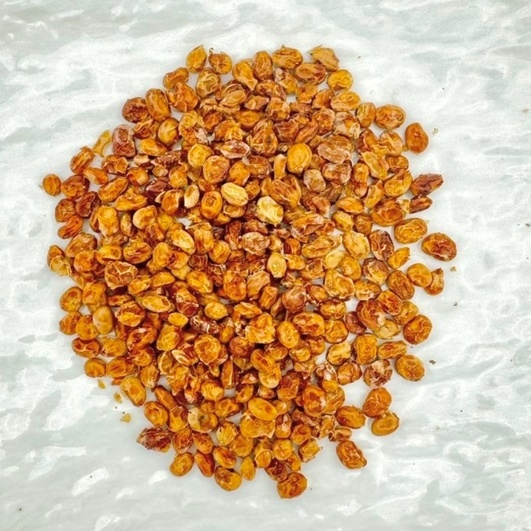 犬の無添加おやつ  国産大豆納豆のジャーキー　30g