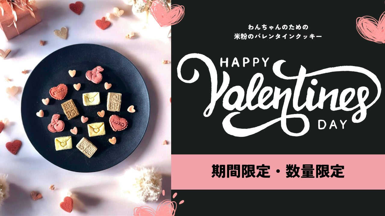 Won Time -手作り無添加おやつとおもちゃ- – WonTime