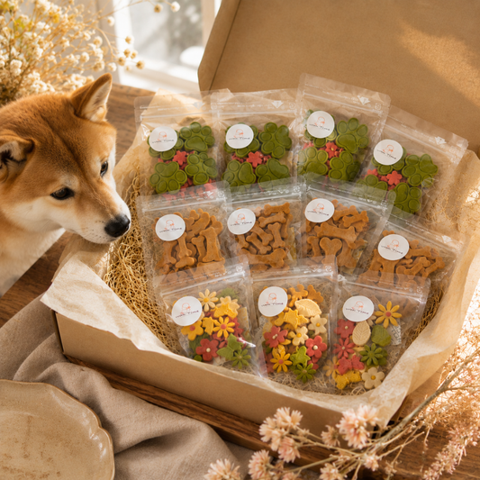 【人気No1】迷ったらまずはこちら｜定番クッキー3種セット12袋入り　送料無料　