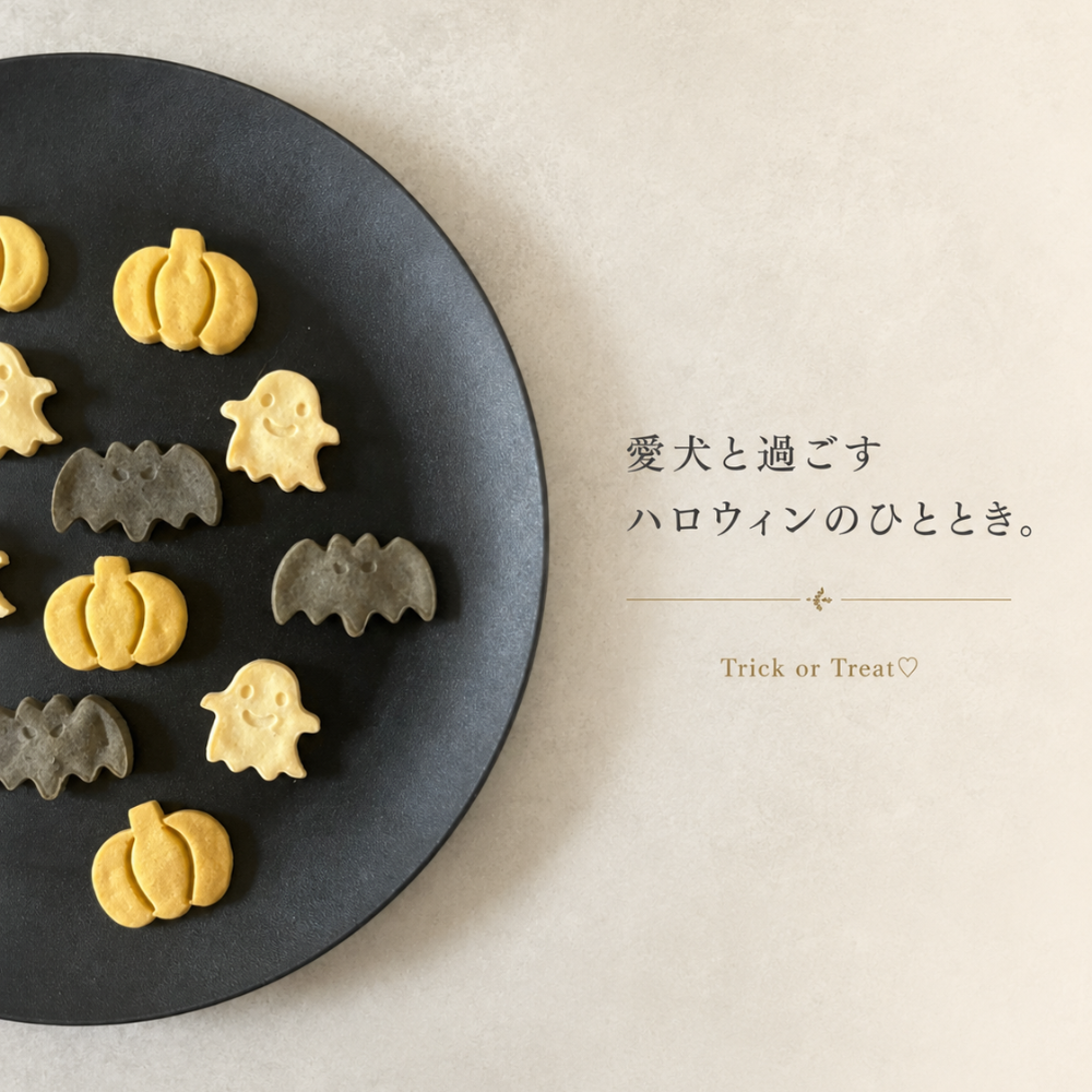 【ハロウィン限定・送料無料】米粉のハロウィンクッキー 大袋セット 12袋入り｜無添加・米粉の犬用おやつ