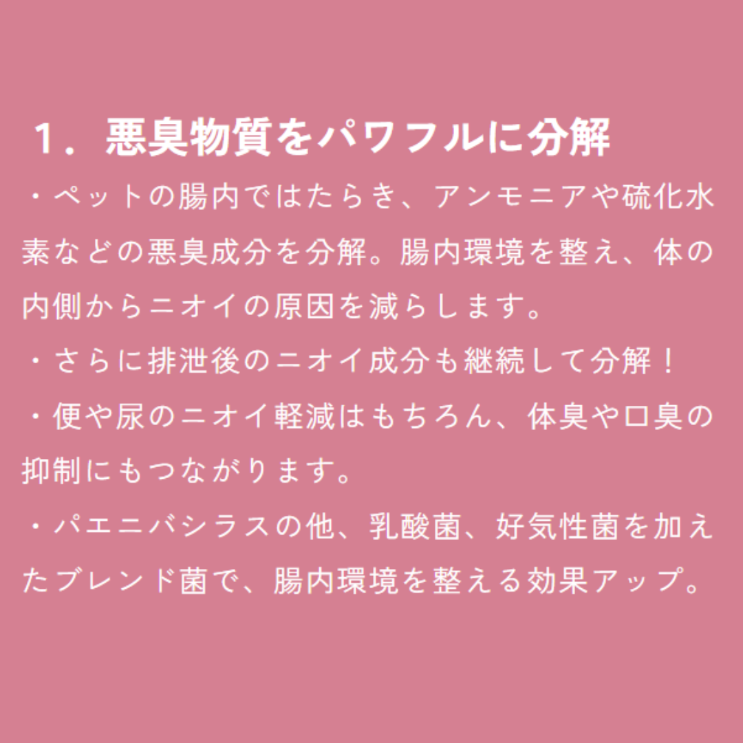 獣医師監修　NaXess　犬用 排泄物のにおい対策×腸活サプリ（乳酸菌＋国産おから）